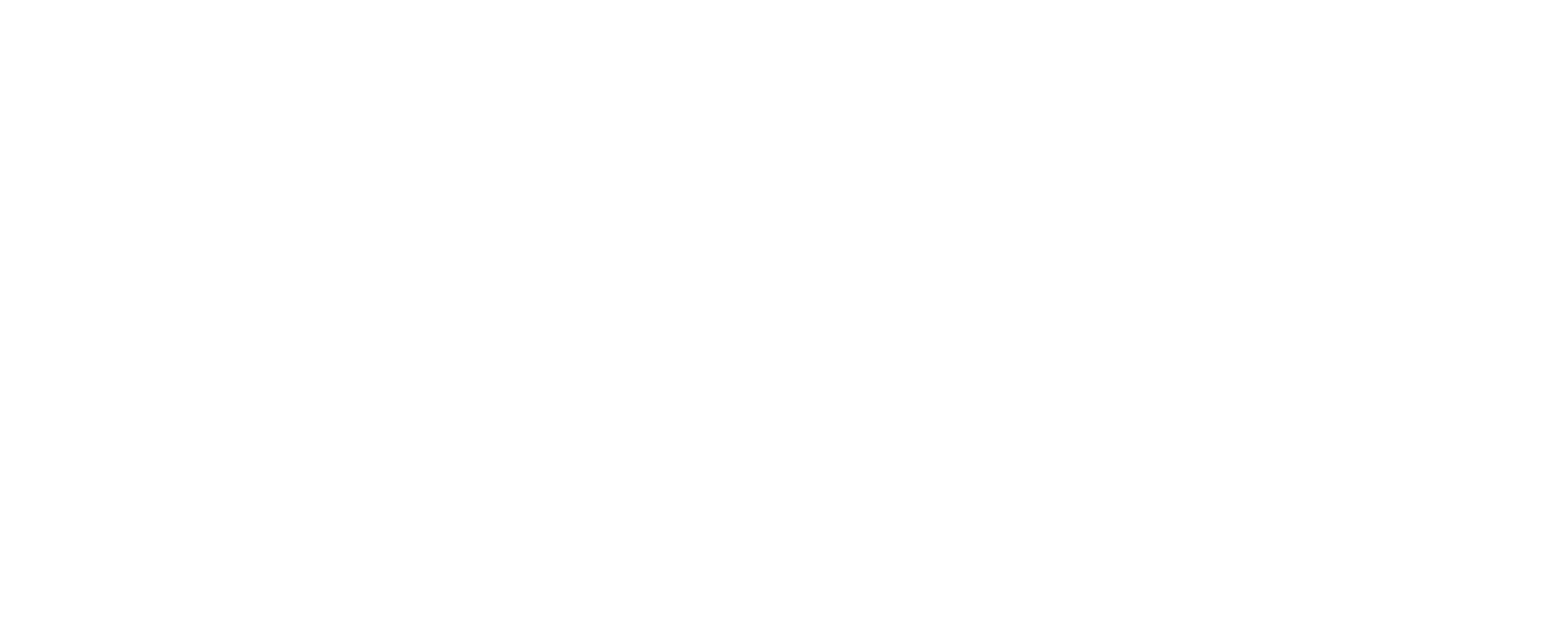Metasonic
