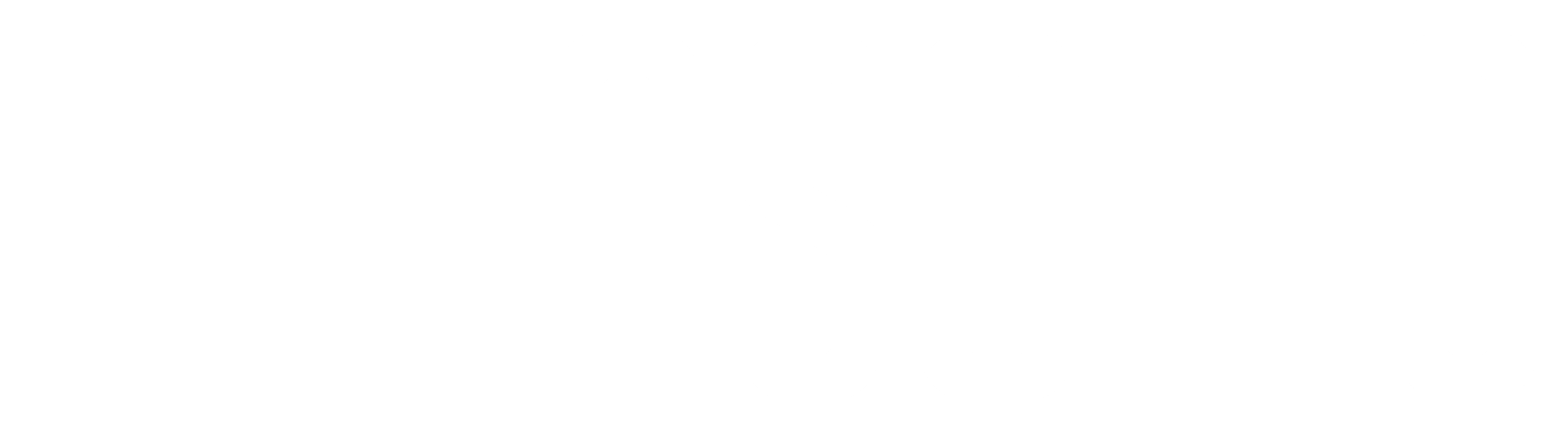 Metasonic