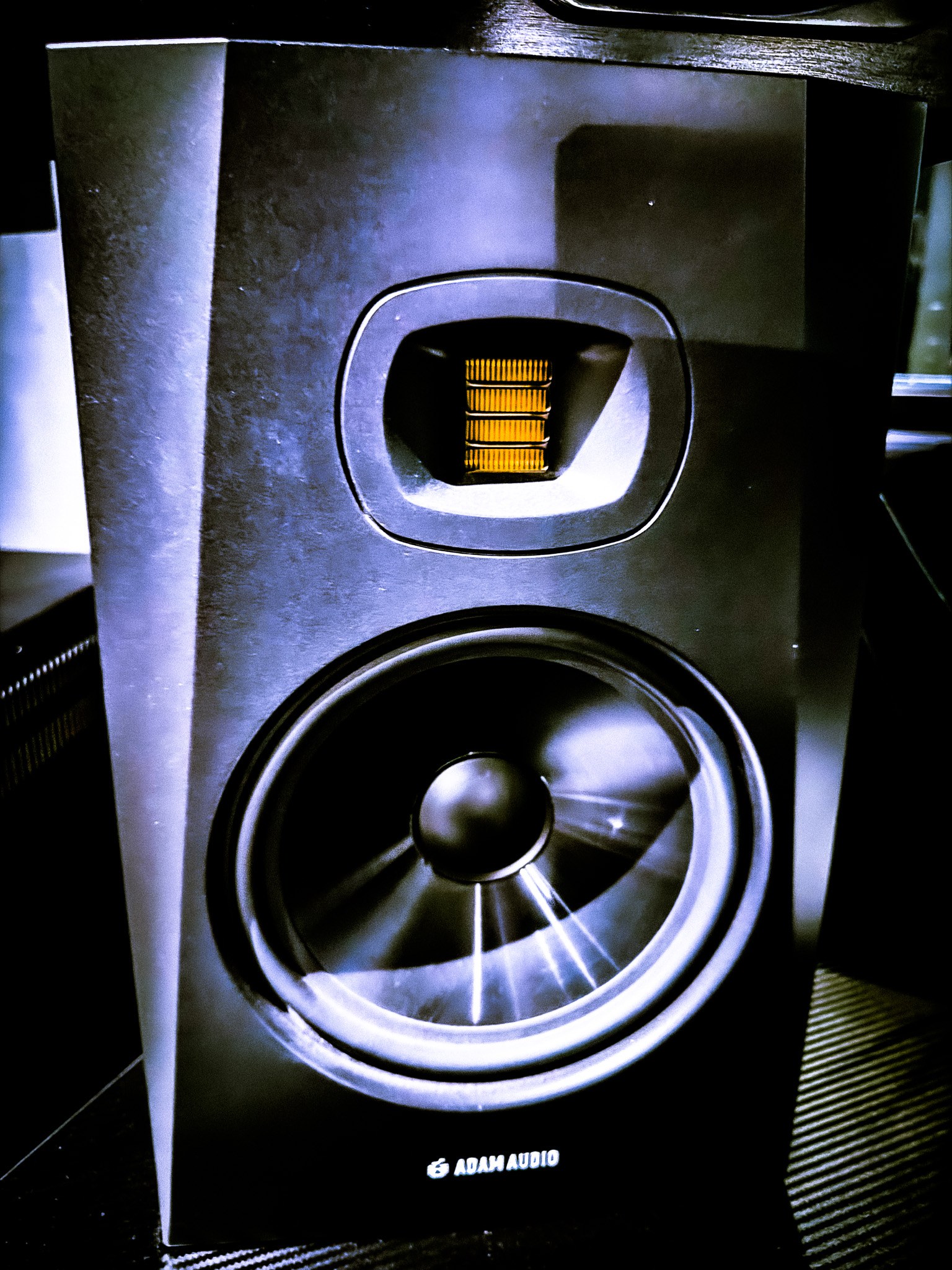 ADAM AUDIO - T8V